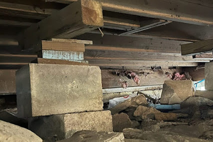 emergency foundation repair in Dallas photo