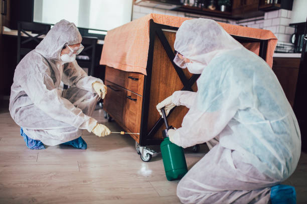 A1 Bed Bug Exterminator photo