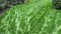 lawn aeration and seeding Marietta photo