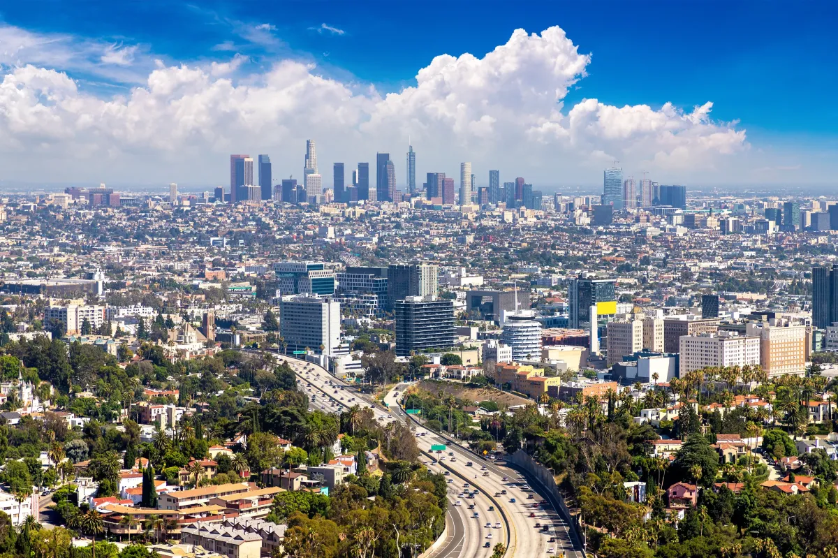 emergency mold remediation in Conroe TX photo