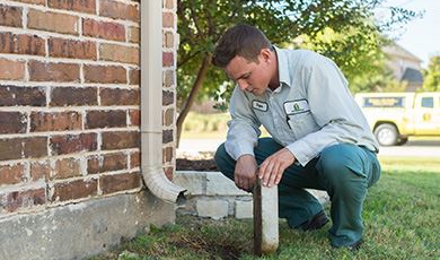 termite control near me photo
