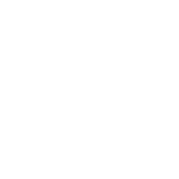 CarSpa Mobile Detailing photo