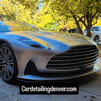 pet hair removal car Denver