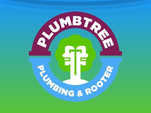 affordable plumbing Rose Garden photo