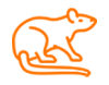 termite treatment Houston photo