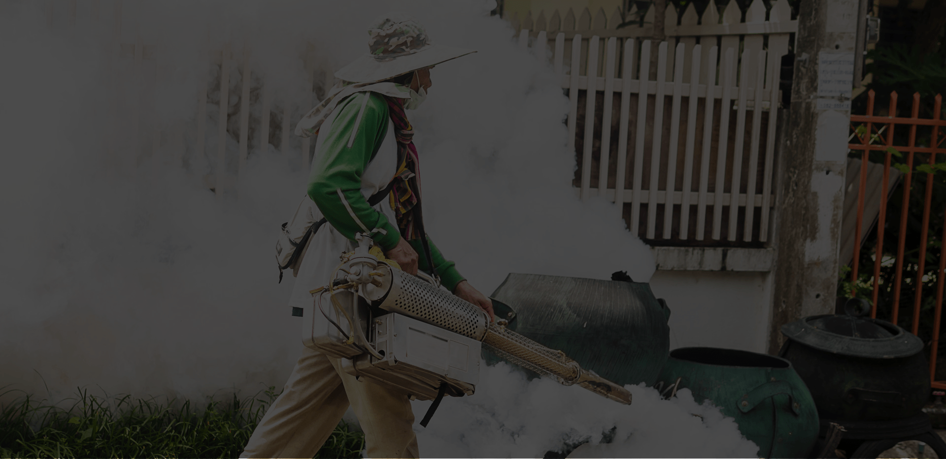 termite treatment Houston photo