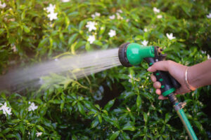 sewer line cleaning in Highlands Ranch photo