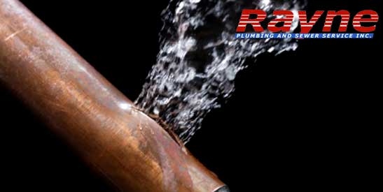Rayne Plumbing & Sewer Service photo