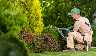 retirement planning services in Mesa