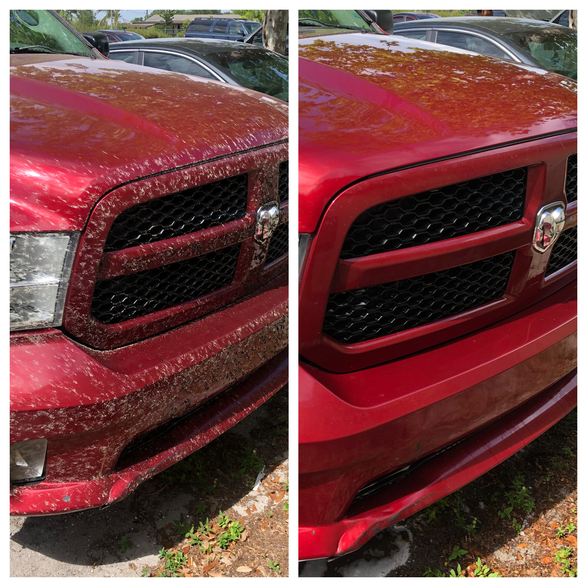 best mobile detailer Tampa photo