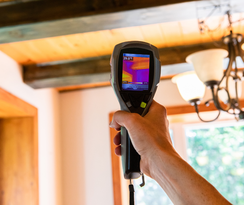 emergency mold remediation near me photo