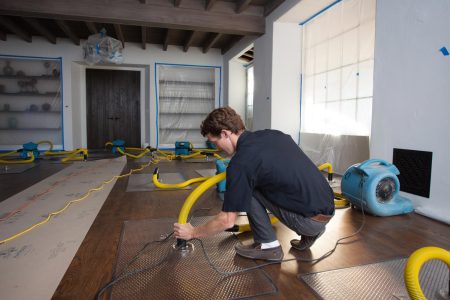 mold mitigation near me photo