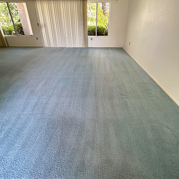 residential carpet steam cleaning Las Vegas photo