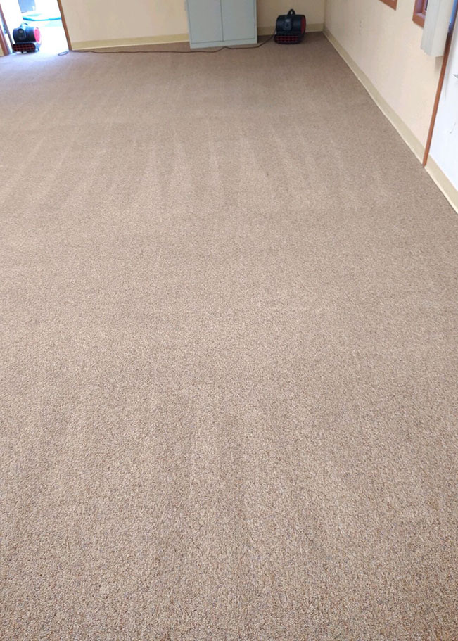 residential carpet steam cleaning Las Vegas photo