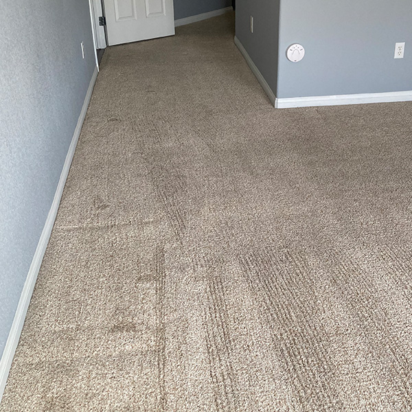 residential carpet steam cleaning Las Vegas photo