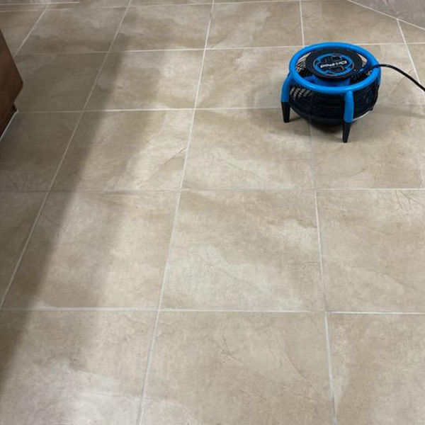 residential carpet steam cleaning Las Vegas photo