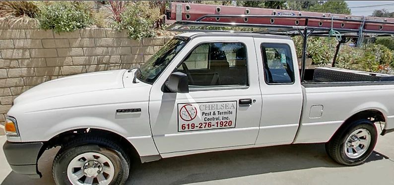 local termite inspection San Diego