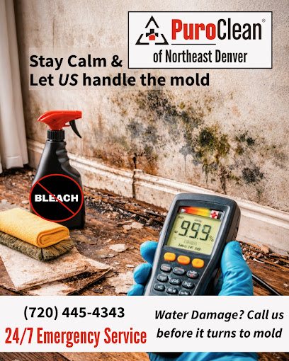 IICRC certified restoration Denver photo