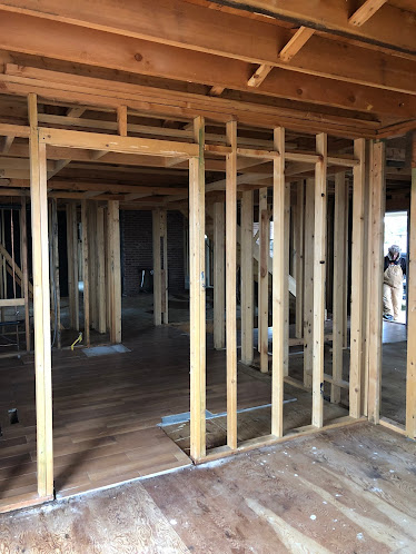 mold remediation near me photo