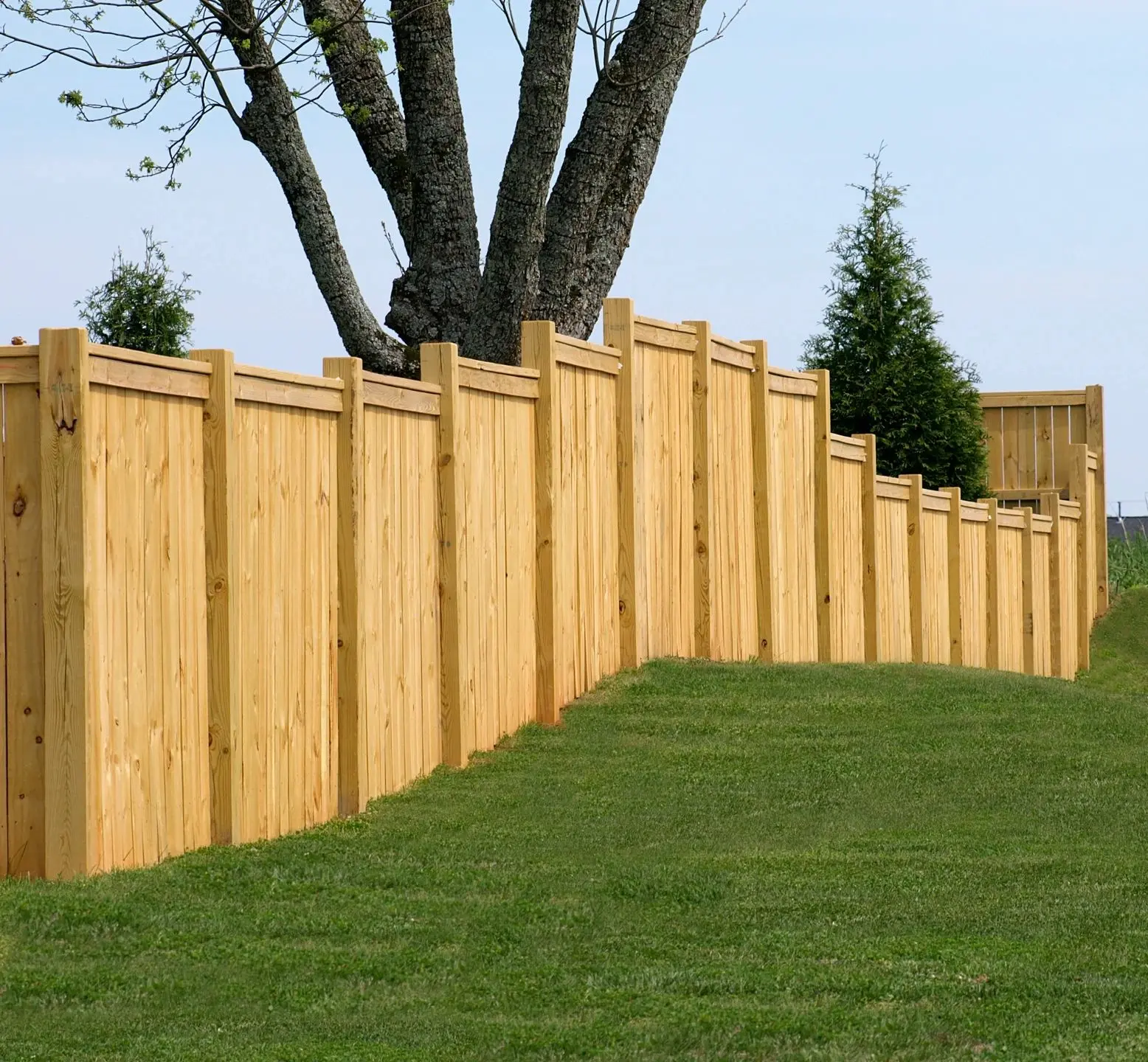 cedar fence installation New Braunfels photo