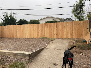 vinyl fence installation CA photo