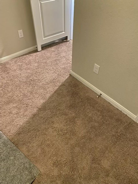 best carpet repair San Antonio TX