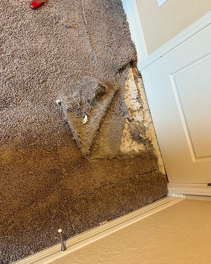 best carpet repair San Antonio TX photo