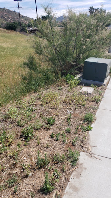 commercial fencing San Diego County photo