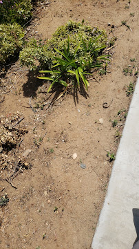 commercial fencing San Diego County photo