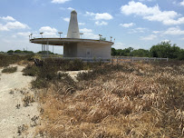 bed bug exterminator San Antonio photo