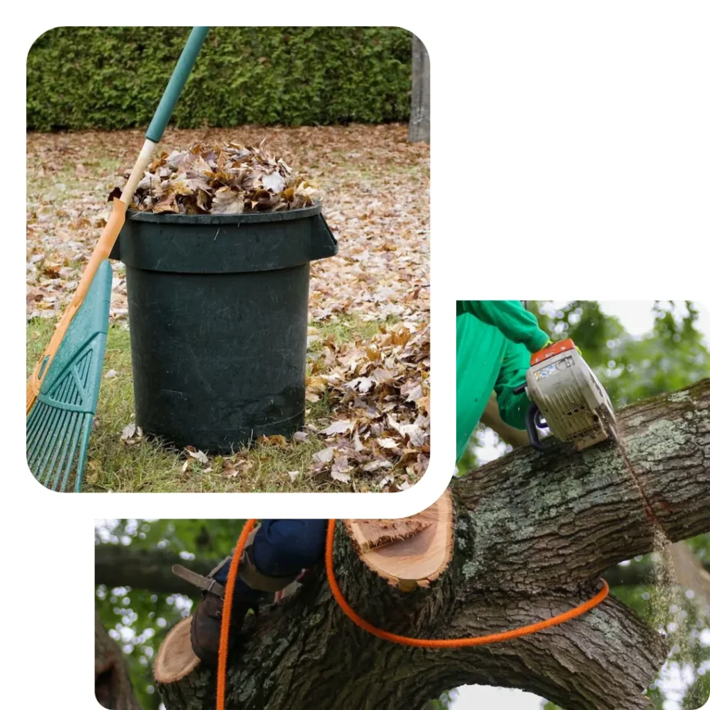 eco friendly junk removal CA