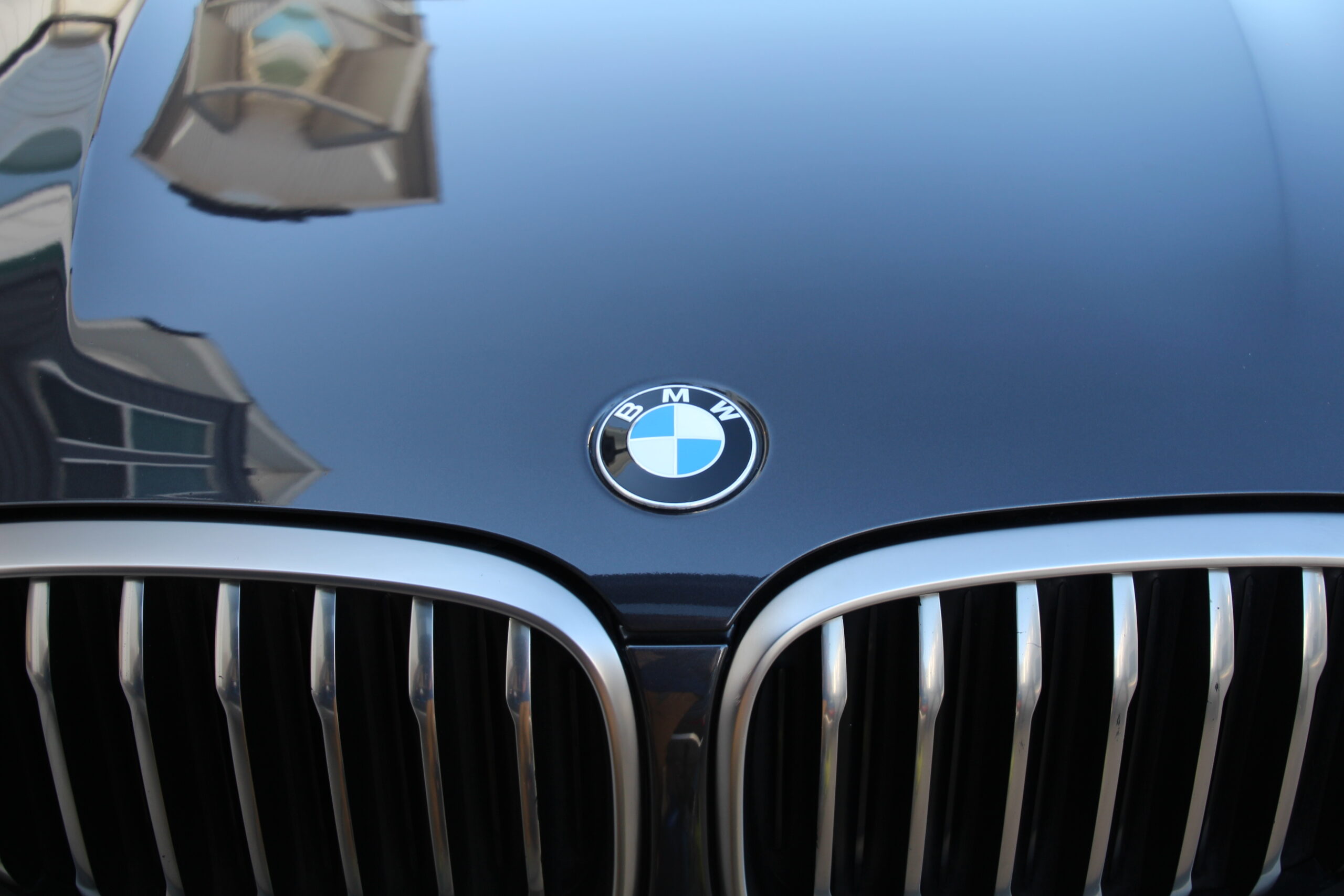 paint correction Houston TX photo