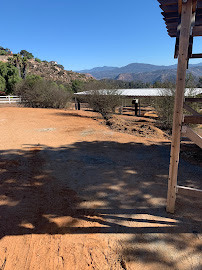 construction debris removal San Diego