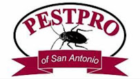 emergency pest control San Antonio photo