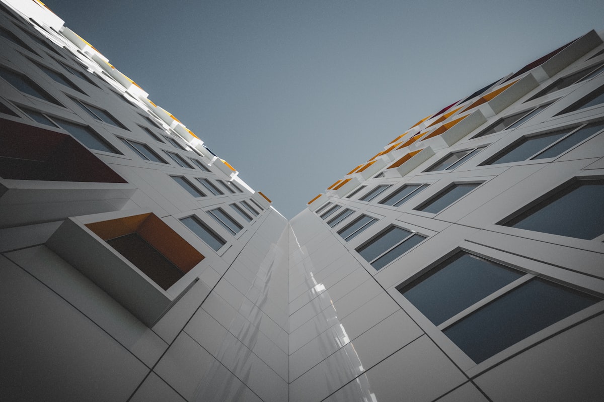 full service movers San Diego photo