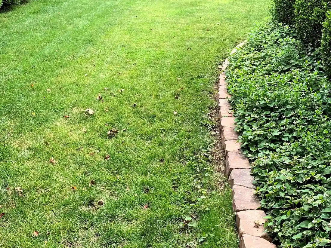 grub control service near me photo