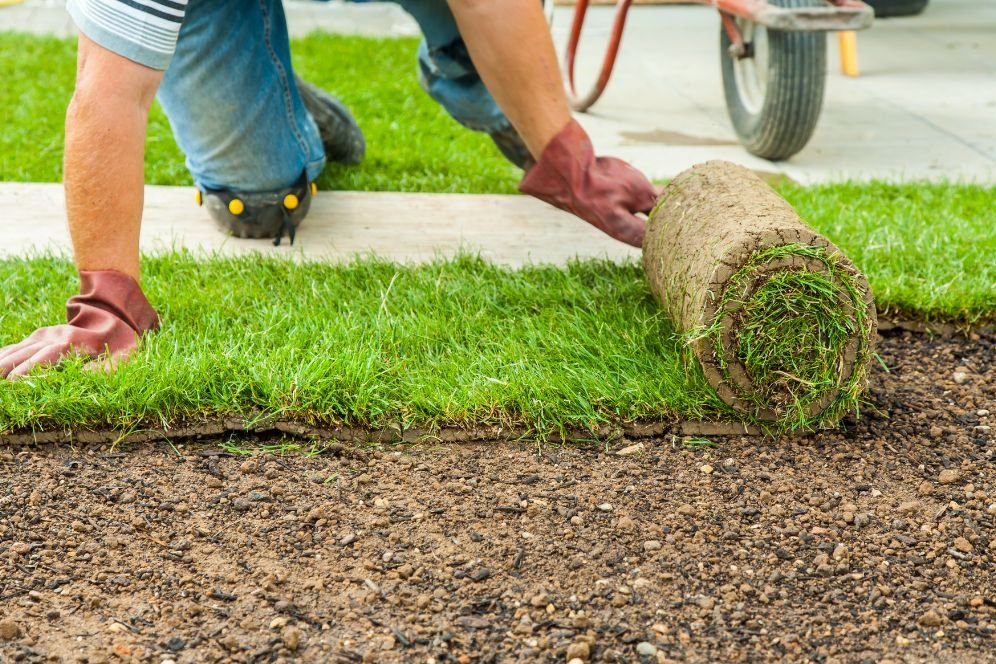 commercial lawn care Chicago photo