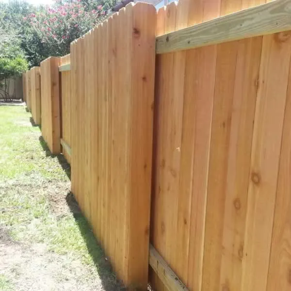 fence staining Austin TX photo