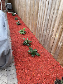 fertilization service IL