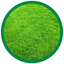 grub control Oak Brook photo