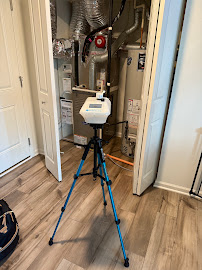 black mold removal Mr. Mold