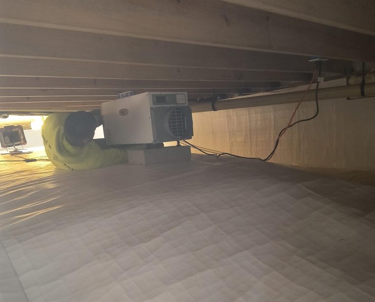 duct cleaning Mr. Mold photo