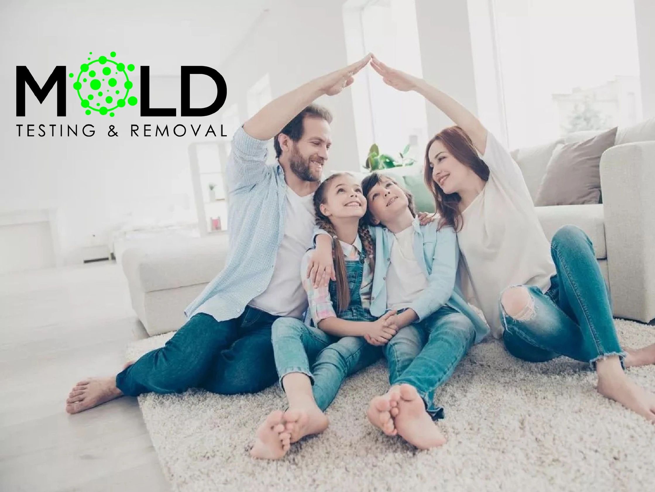 mold assessment and testing Cape Coral photo