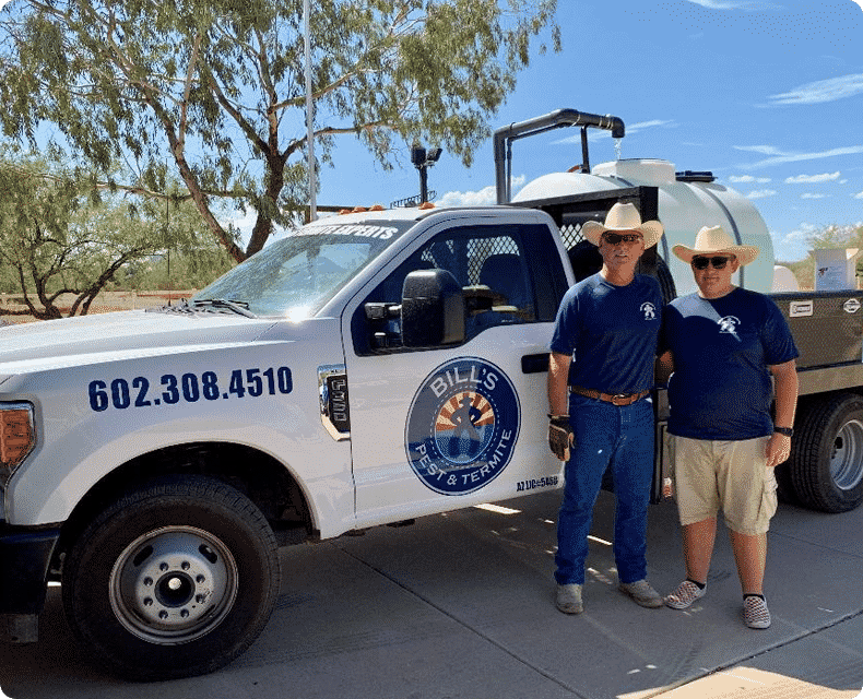 termite inspection Phoenix