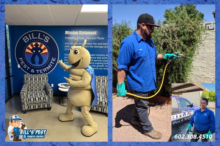 bed bug exterminator Phoenix photo