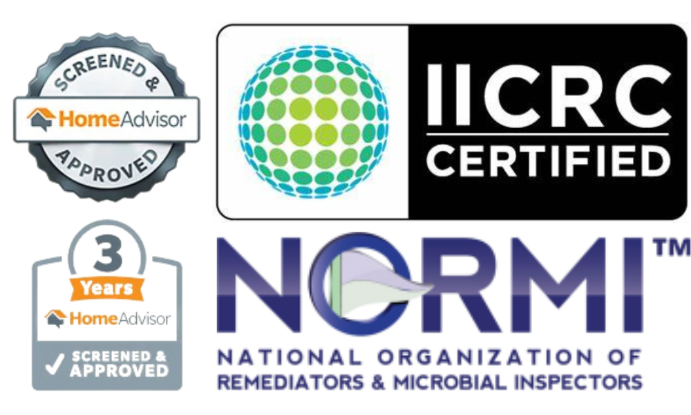 best water damage mitigation Restoration 305 Damage Experts photo