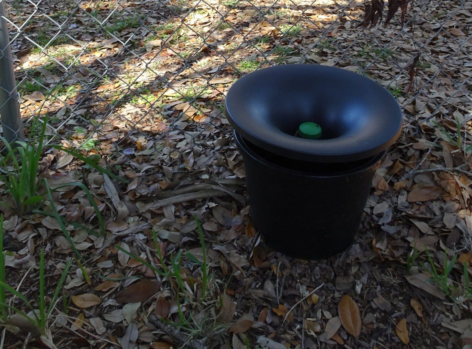 best pest control in Tonto Basin photo