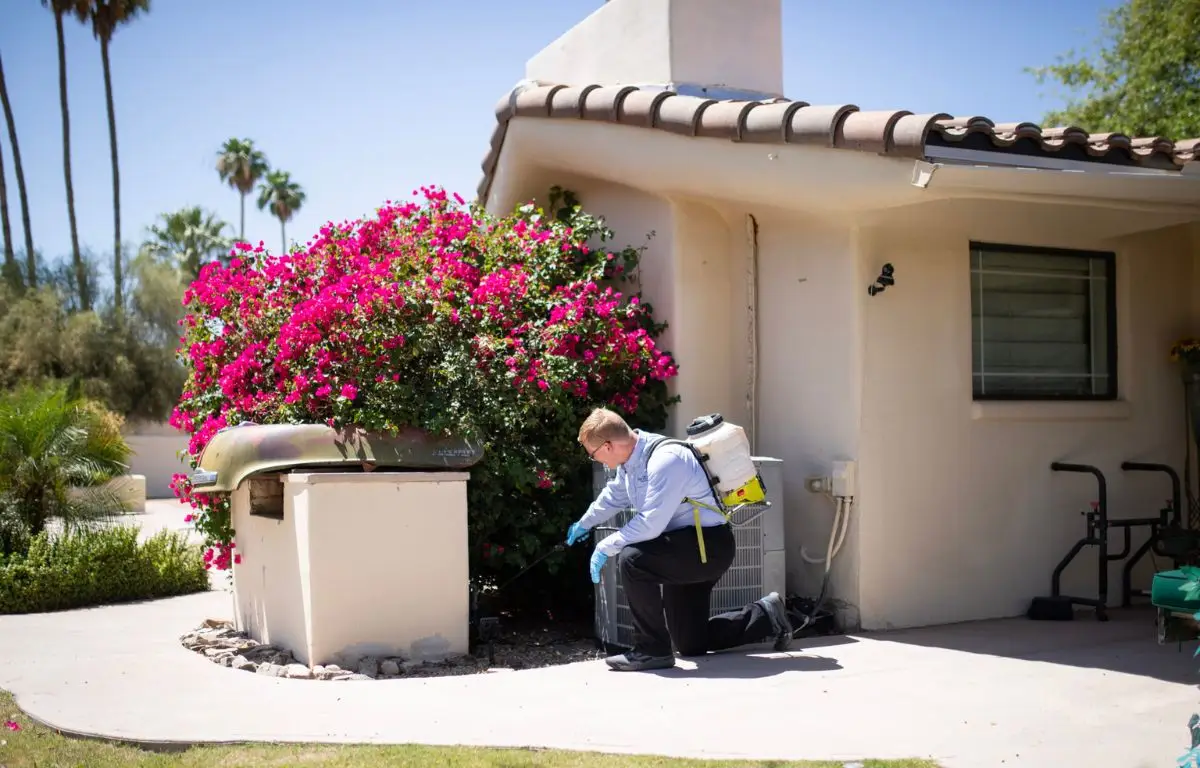 German roach exterminator Gilbert, AZ photo