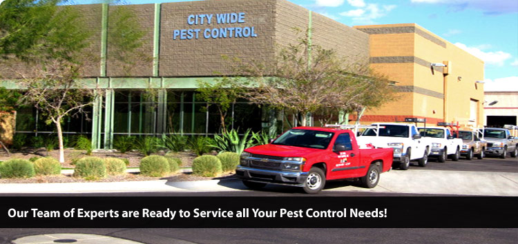 residential pest control near me photo