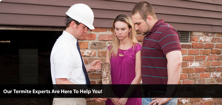 scorpion control near me photo